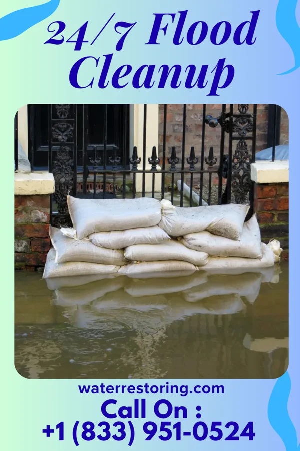 24/7 Flood Cleanup in Herrick, IL