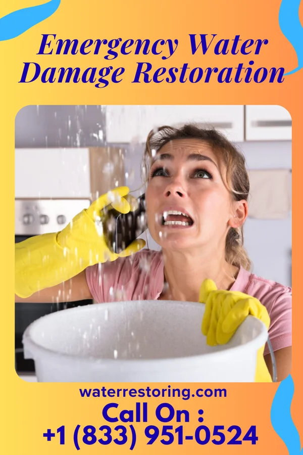 Emergency Water Damage Restoration in Herrick, IL