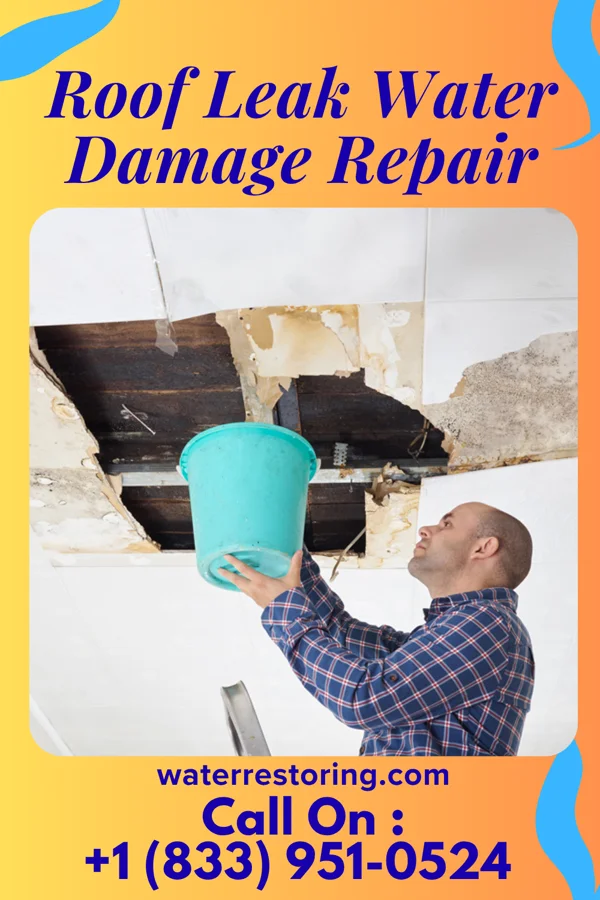 Roof Leak Water Damage Repair in Herrick, IL