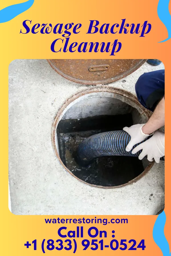 Sewage Backup Cleanup in Herrick, IL