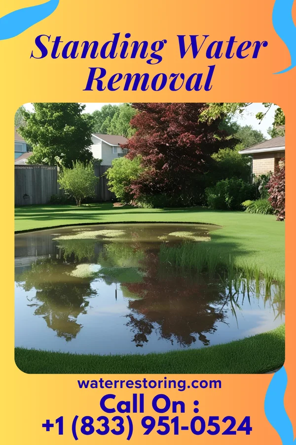 Standing Water Removal in Herrick, IL